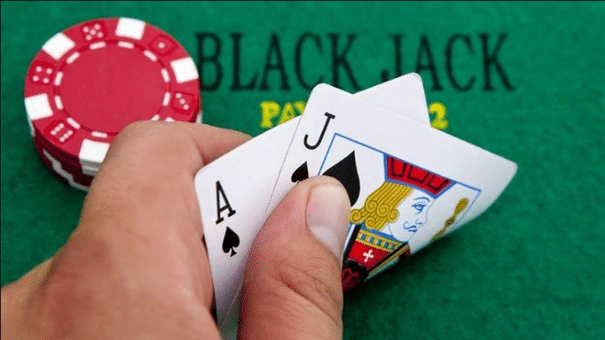 Hawkplay blackjack 1