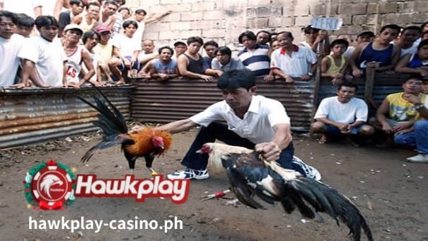 Hawkplay Casino-E-Sabong